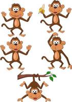 Cartoon happy monkey collection set vector