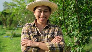 sorridenti contadine asiatiche in piedi con le braccia incrociate e guardando la telecamera in una fattoria di gelsi. proprietari di piantagioni di successo stanno nei frutteti biologici per cibo sano. piccola impresa video