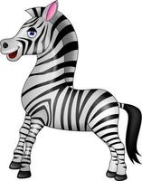 Cartoon happy zebra vector