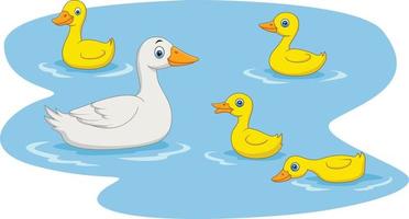 Cartoon duck family swimming in the pond vector