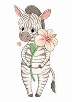 Zebra with big pink flower vector illustration