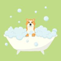 Grooming salon. Banner for grooming salon. Vector illustration in cartoon style. Cute akita in a bubble bath. Pet care.