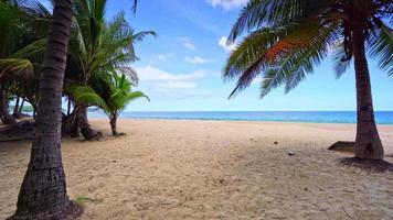 beach sommar semester koncept bakgrund natur ram av kokospalmer på stranden sand vacker havsstrand landskap bakgrund
