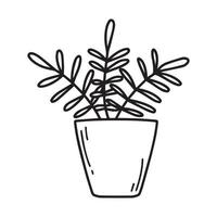 planta de interior en una olla. bonita planta de interior. una hermosa planta ilustración vectorial en estilo garabato. vector