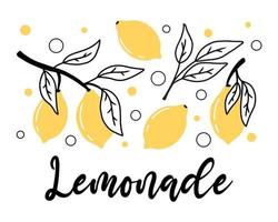 Doodle style. Vector illustration. Lemonade concept. Lemon lemonade.