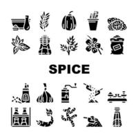 conjunto de iconos de colección de alimentos vegetales de especias vector