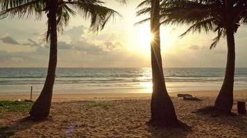 strand zomervakanties concept achtergrond natuur frame van kokospalmen op het strand zand mooie zee strand landschap background video