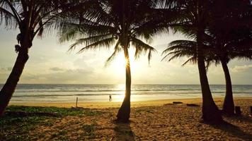 Beach summer vacations concept background Nature frame of coconut palm trees on the beach sand Beautiful sea beach landscape background video