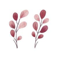 leaf floral watercolor illustration vector