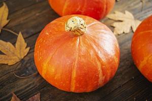 Mini pumpkins on wooden background. Thanksgiving day concept. photo