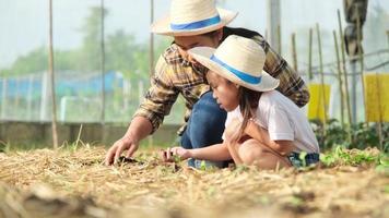 una niña con sombrero ayuda a su madre en el jardín, una pequeña jardinera. linda chica plantando verduras en el jardín. video