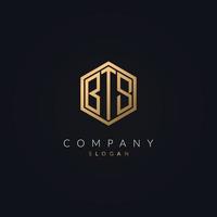 Minimal Letter BTS Logo Concept Icon Template Gold Color Vector. vector