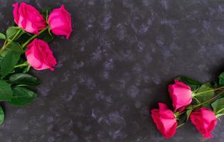 Bouquet of pink roses on dark background. Top view