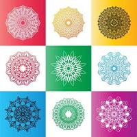 Mandala Set Colorful Floral element background template Vector illustration.