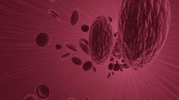 Mikroskopische Blutinfektion. Virus und rote Blutkörperchen in Blutgefäßen. 3D-Rendering-Coronavirus-Konzept. wissenschaftliches mikrobiologisches konzept video