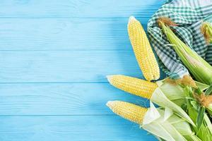 Fresh juicy corn isolated on wooden background. Grain crops concept photo