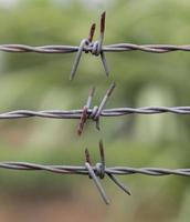 Three barbed wire on a blurred green background photo