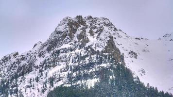 8k hög snöig bergstopp bakom skogen video