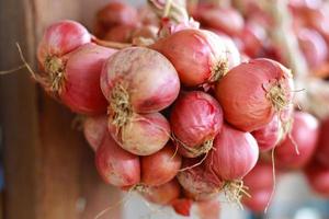 red onion or Shallots. shallots on wooden plate with . Selected focus.  Concept of spices in healthy cooking 10204956 Stock Photo at Vecteezy