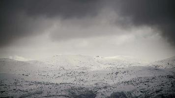 colline innevate con alberi radi in inverno video