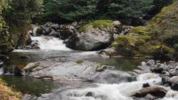 8k rivière claire qui coule sur des pierres moussues dans la forêt video