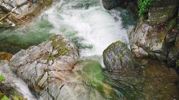 8k rio claro fluindo em pedras cobertas de musgo na floresta video