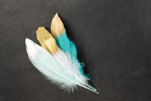 Colored feathers with gold decor on a dark vintage textured background photo