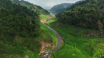 Aerial view of beautiful Water Stream and natural green field of forest in the wild forest mountain ,Clean Air natural fresh Air concept on blue sky fluffy cloud video