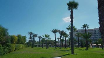 schöner Hotelresortgarten. Palmen im blauen Himmel. reisen urlaubsparadies im beach resort. exotisches Ziel. tunesien. video