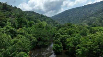 vue aérienne du beau ruisseau d'eau et du champ vert naturel de la forêt dans la montagne de la forêt sauvage, concept d'air frais naturel d'air pur sur le ciel bleu nuage moelleux