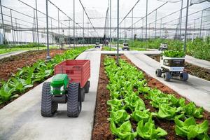 Autonomous driverless small tractor working in vegetable farm, Future 5G technology with smart agriculture farming concept photo