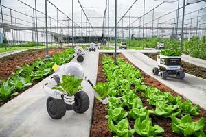 Agriculture robotic and autonomous car working in smart farm, Future 5G technology with smart agriculture farming concept, 3d render photo