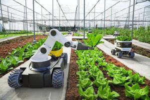 Agriculture robotic and autonomous car working in smart farm, Future 5G technology with smart agriculture farming concept photo