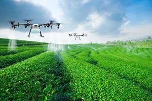 Agriculture drone fly to sprayed fertilizer on the green tea fields, Smart farm 4.0 concept photo