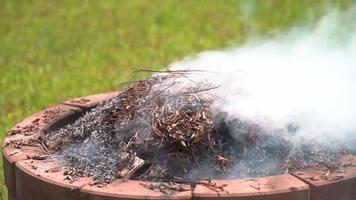 foglie secche che bruciano fiamme e fumo dalle foglie che bruciano le ustioni delle foglie sono dannose per l'ambiente. foglie bruciate nel giardino. video