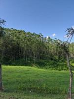 landscape, nature in the hills and trees photo