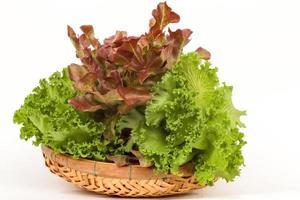 Lettuce, red oak and green chloral on bamboo tray with white background. photo