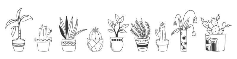 plantas de interior dibujadas a mano aisladas en un fondo blanco. colección de estilo doodle plantas en macetas. clipart vectorial para tienda de plantas, publicación en medios sociales, para álbumes de recortes y más. vector