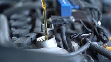 vertiendo aceite sintético nuevo y limpio en el motor del automóvil. video