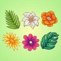 Summer flower collection vector