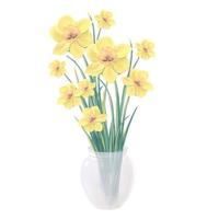 blooming bouquet of yellow daffodil flowers in a glass vase vector illustration
