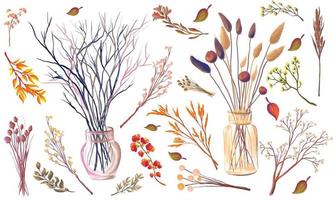 autumn bouquet of dry leaves and branches of field plants in a vase, bohemian vector illustration