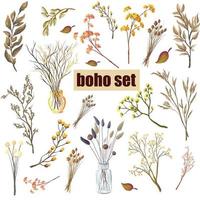 Set of plants and flowers in boho style. Dried wild herbs and flowers. Isolated vector