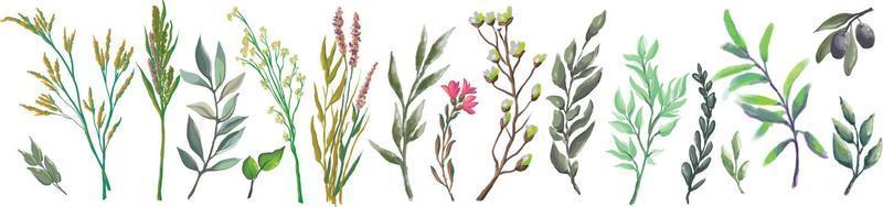 ilustración dibujada a mano con flores silvestres en estilo boho. colección de flores, hierbas y ramas vector