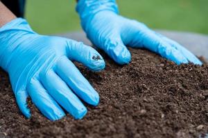 la mano que sostiene la materia orgánica de musgo de turba mejora el suelo para la agricultura cultivo de plantas orgánicas, concepto de ecología. foto