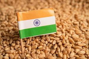 Grains wheat with India flag, trade export and economy concept. photo