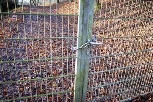 Fence between meadow and path photo