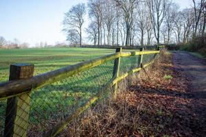 Fence between meadow and path photo