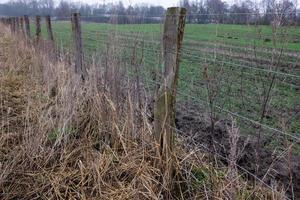 fence to a meadow photo