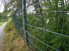 Fence between meadow and path photo